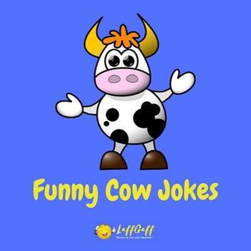 30+ Funny Kangaroo Jokes And Puns! | LaffGaff