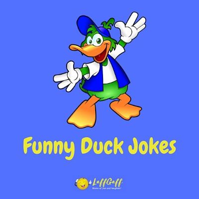 Featured image for a page of funny duck puns and jokes.