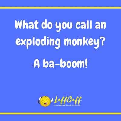 Image file for exploding monkey joke.