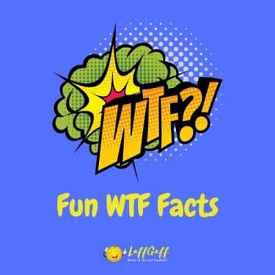 Featured image for a page of fun WTF facts to astound and amaze!