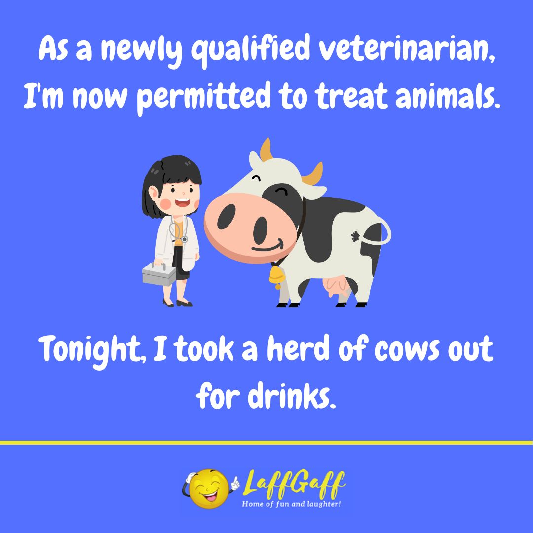 Newly qualified vet joke from LaffGaff.