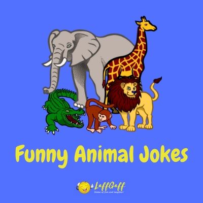 Featured image for collections of funny animals jokes and puns.