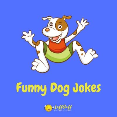 Featured image for a page of funny dog jokes and puns.