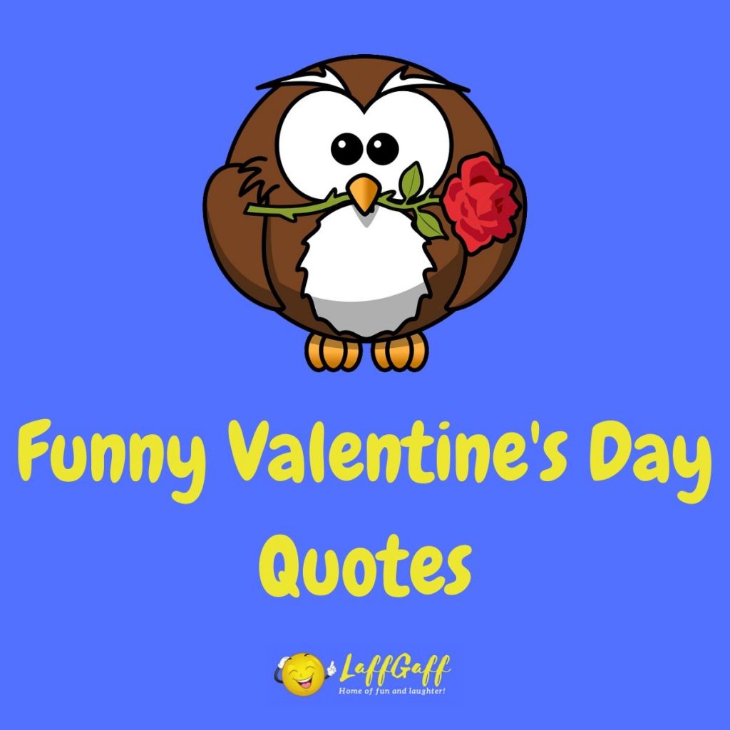 Featured image for a page of funny Valentine's Day quotes and sayings.