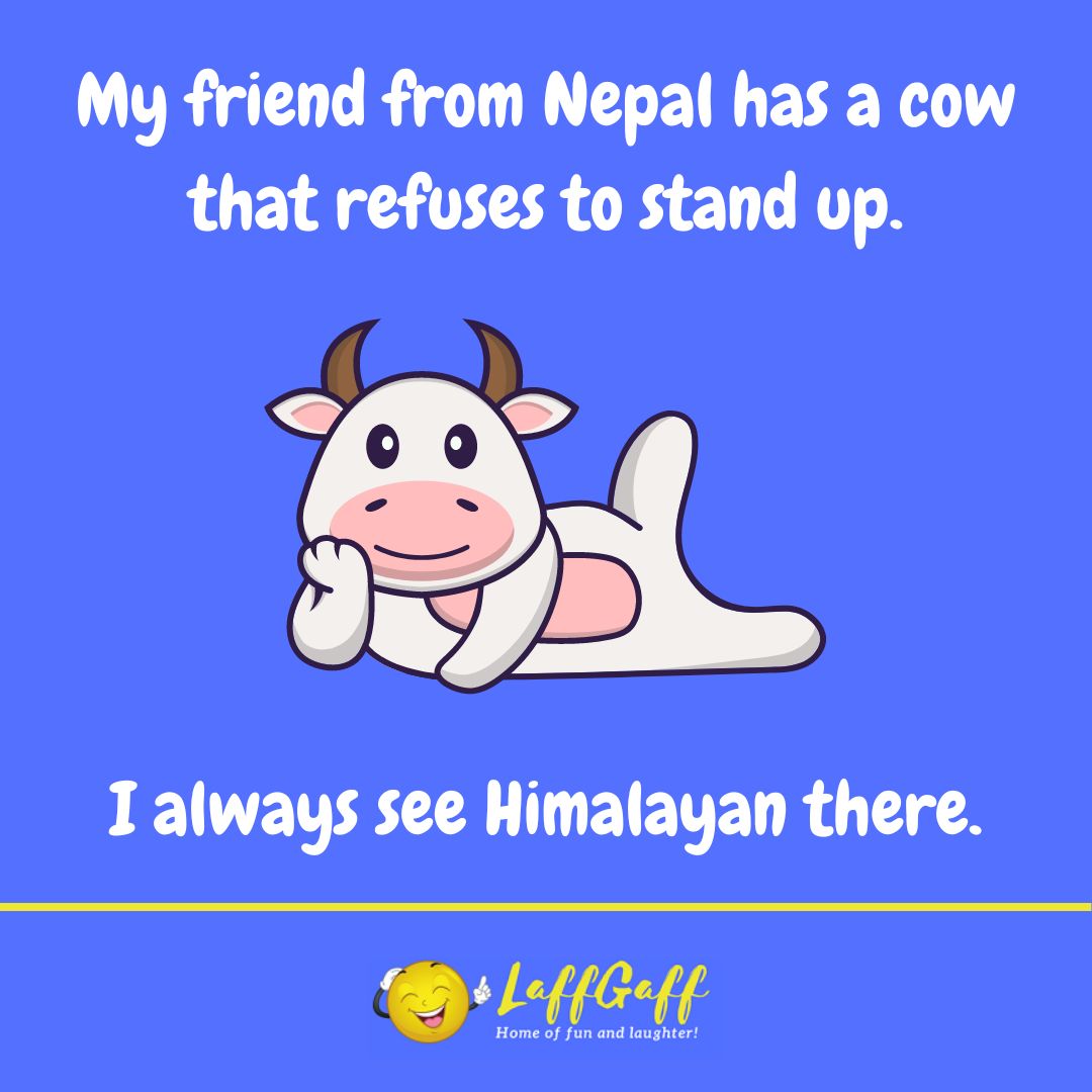 Himalayan friend joke from LaffGaff.