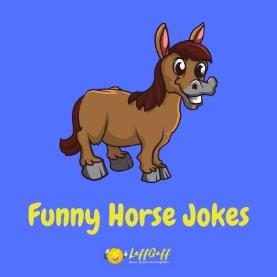 Featured image for a page of funny horse jokes and puns.