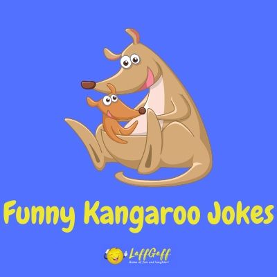 Featured image for a page of funny kangaroo jokes and puns.