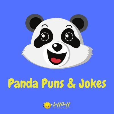 Featured image for a hilarious collection of the best panda puns and jokes!