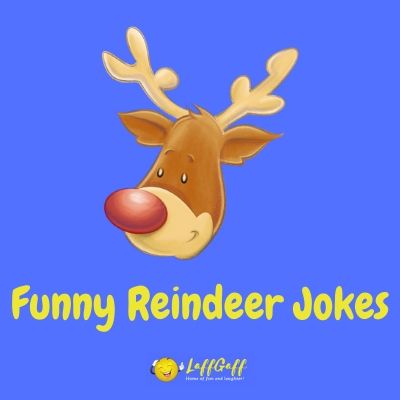 Reindeer Jokes