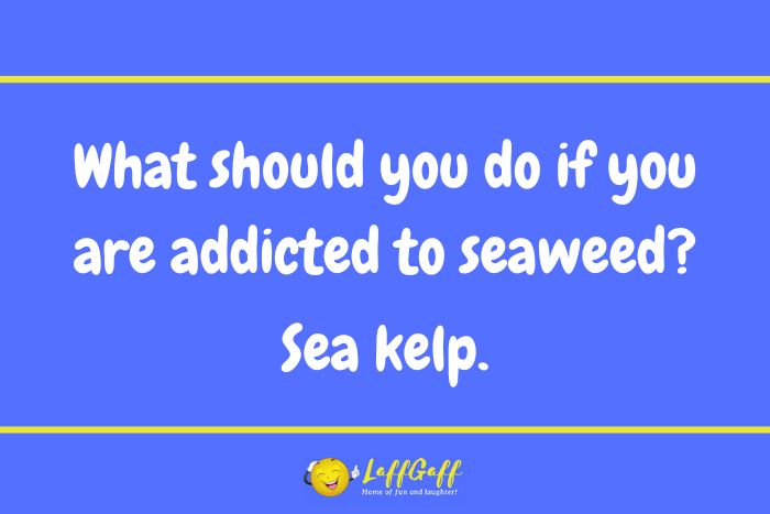 Seaweed addiction joke from LaffGaff.
