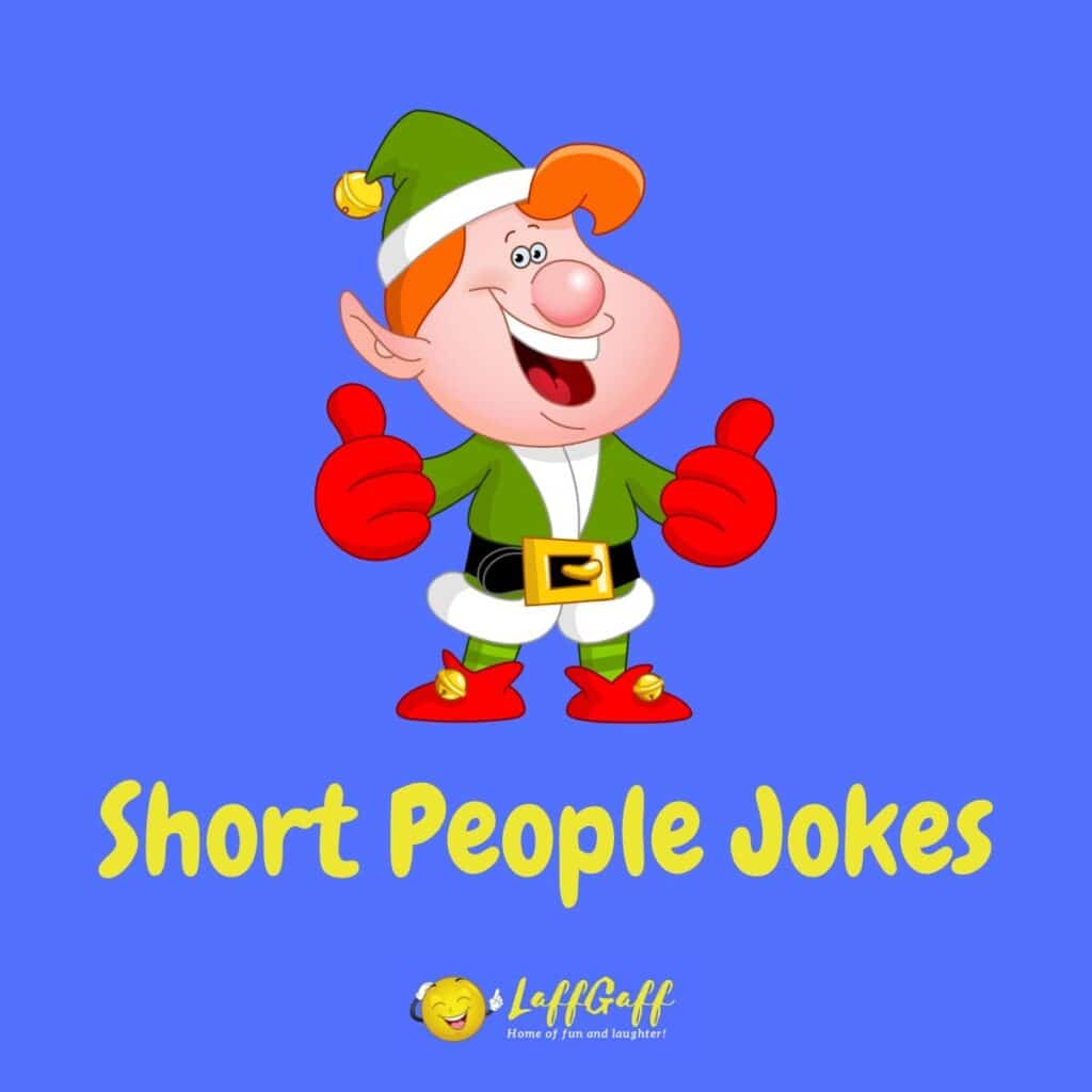 50+ Funny Fat Jokes And One Liners (Funny Obesity Jokes)!