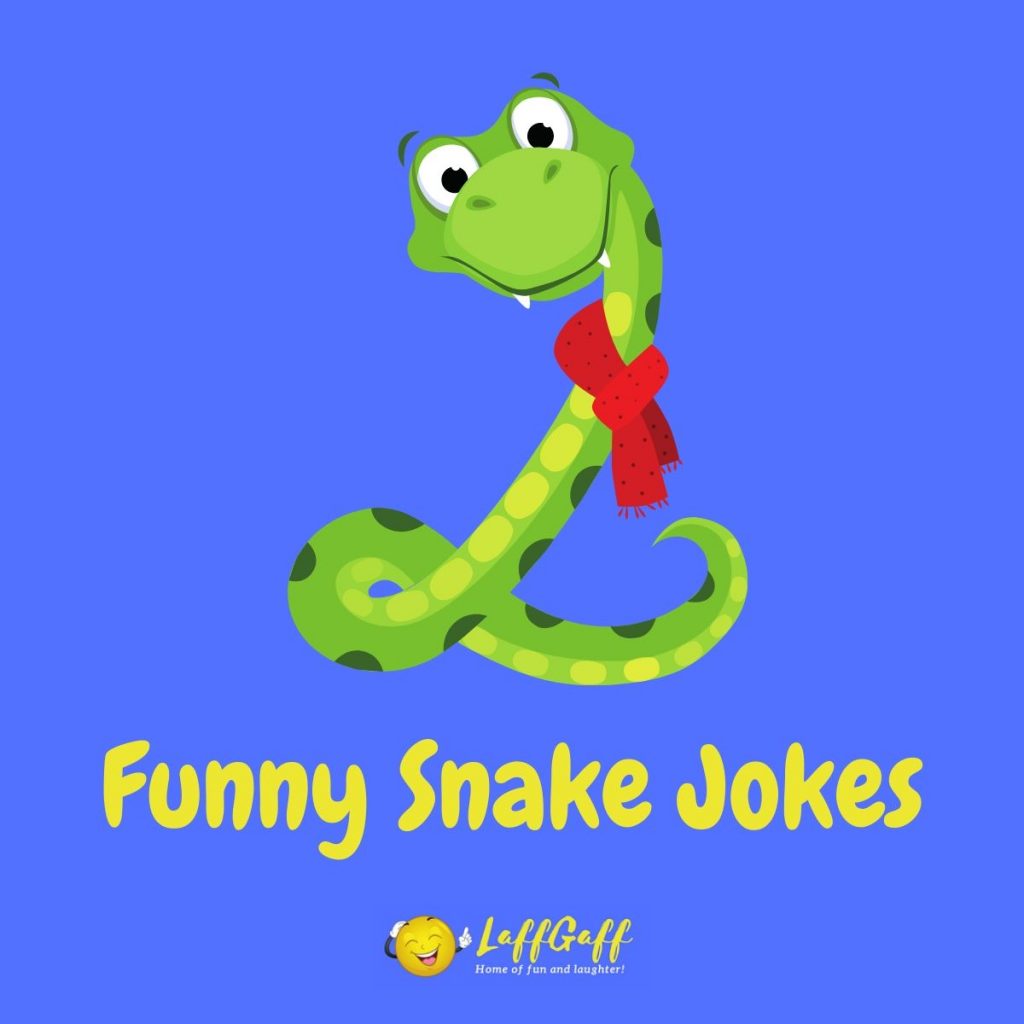Featured image for a page of funny snake jokes and puns.