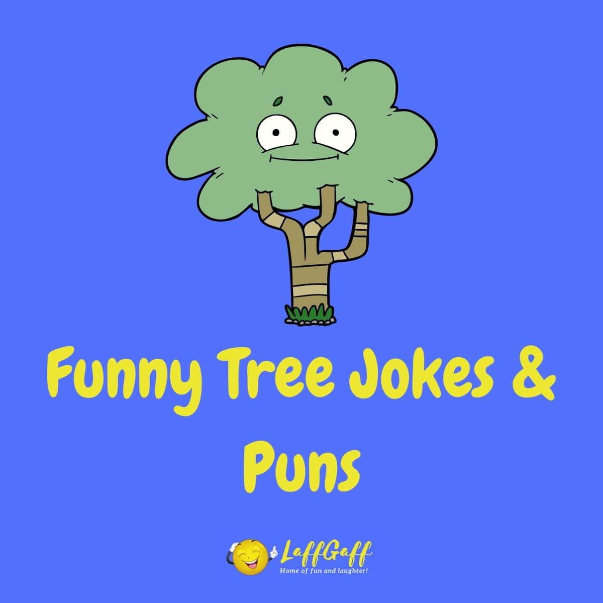 Featured image for a page of funny tree jokes and puns.