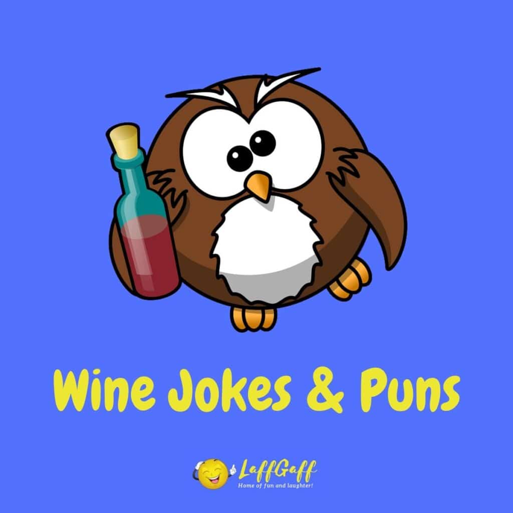 15+ Hilarious AA Jokes And Puns! LaffGaff