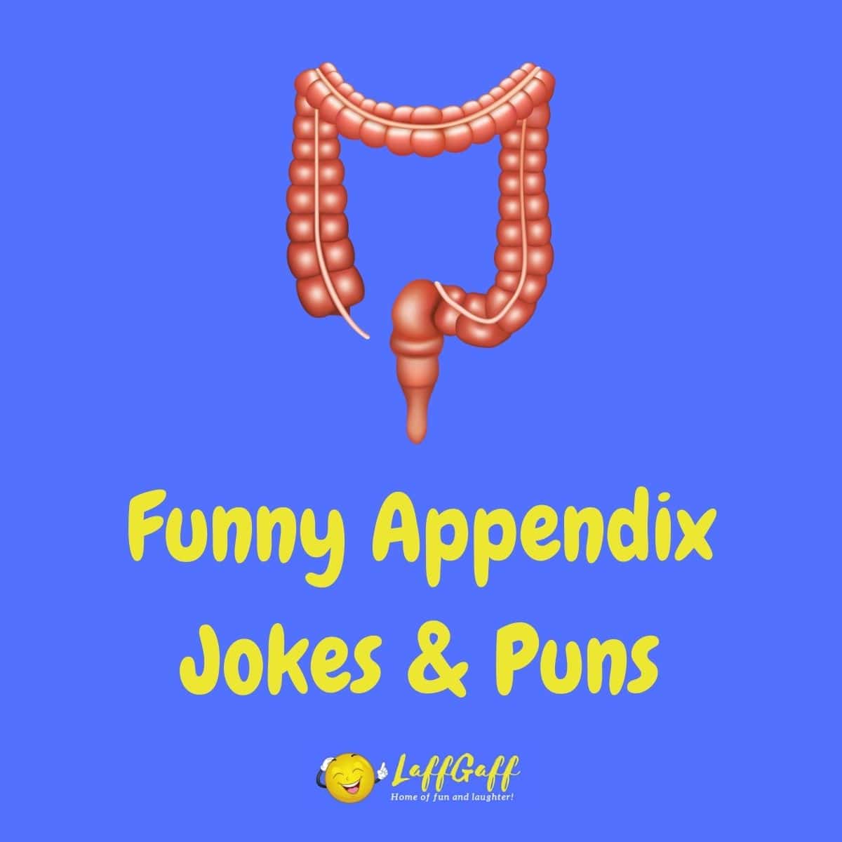 Featured image for a page of funny appendix jokes and puns.