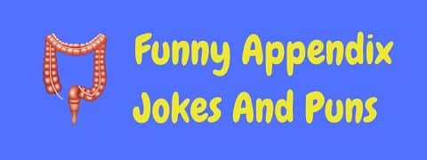 Header image for a page of funny appendix jokes and puns.