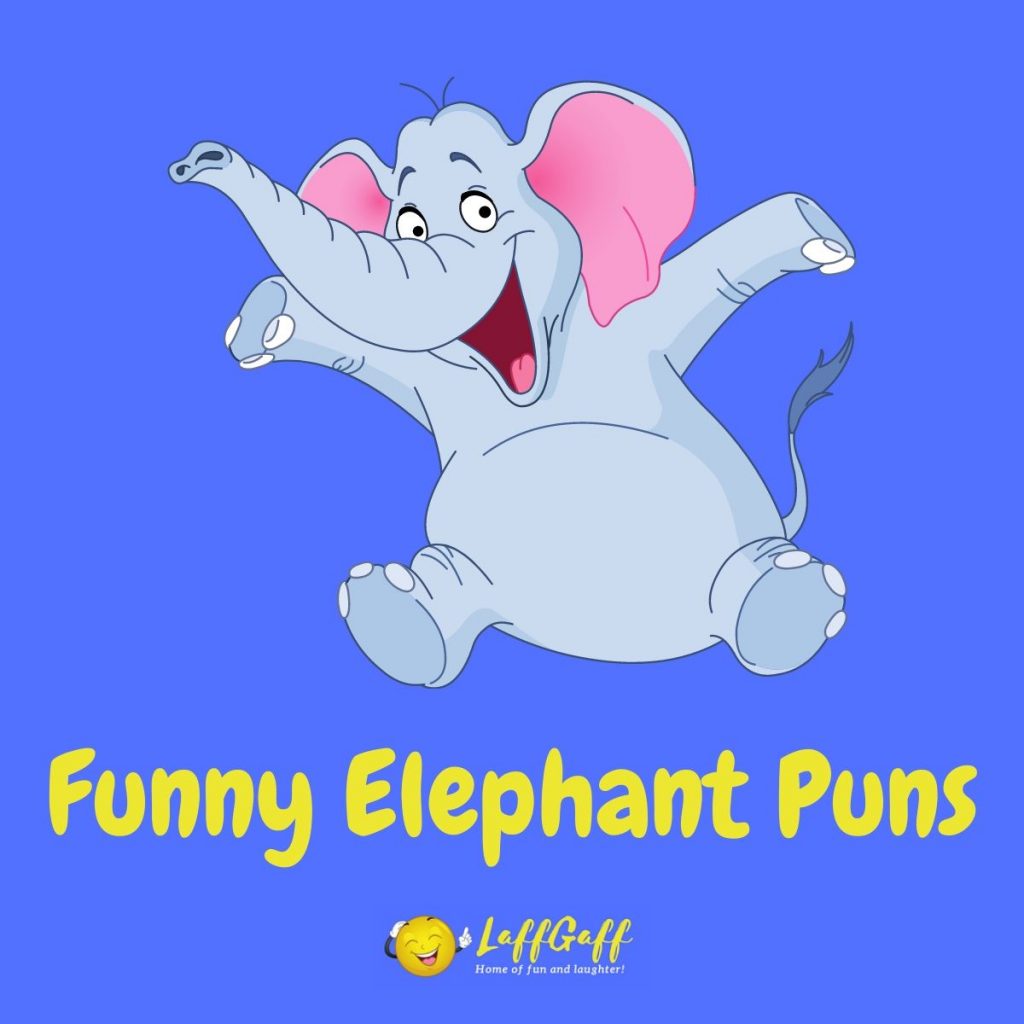 Featured image for a page of funny elephant puns and jokes.