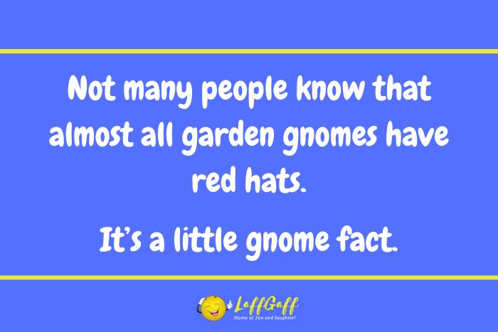 Garden gnomes joke from LaffGaff.