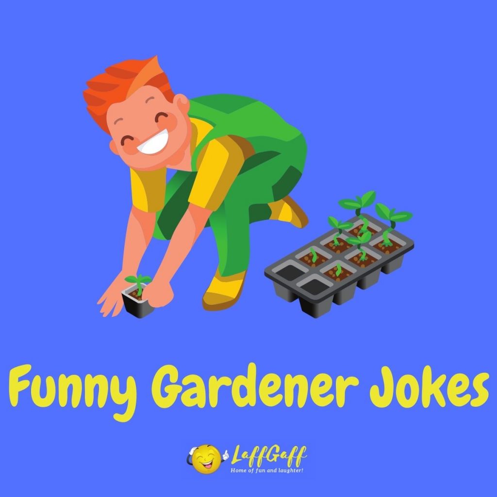 Featured image for a page of funny garden and gardener jokes.
