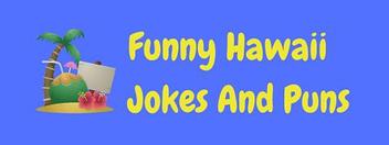 17 Hilarious Hawaii Jokes And Puns! | LaffGaff