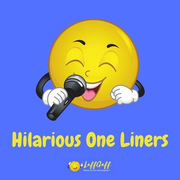 40+ Really Funny One Liners About Life! | LaffGaff
