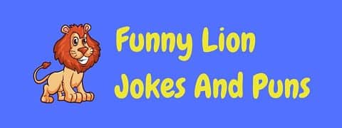 Header image for a page of funny lion jokes and puns.