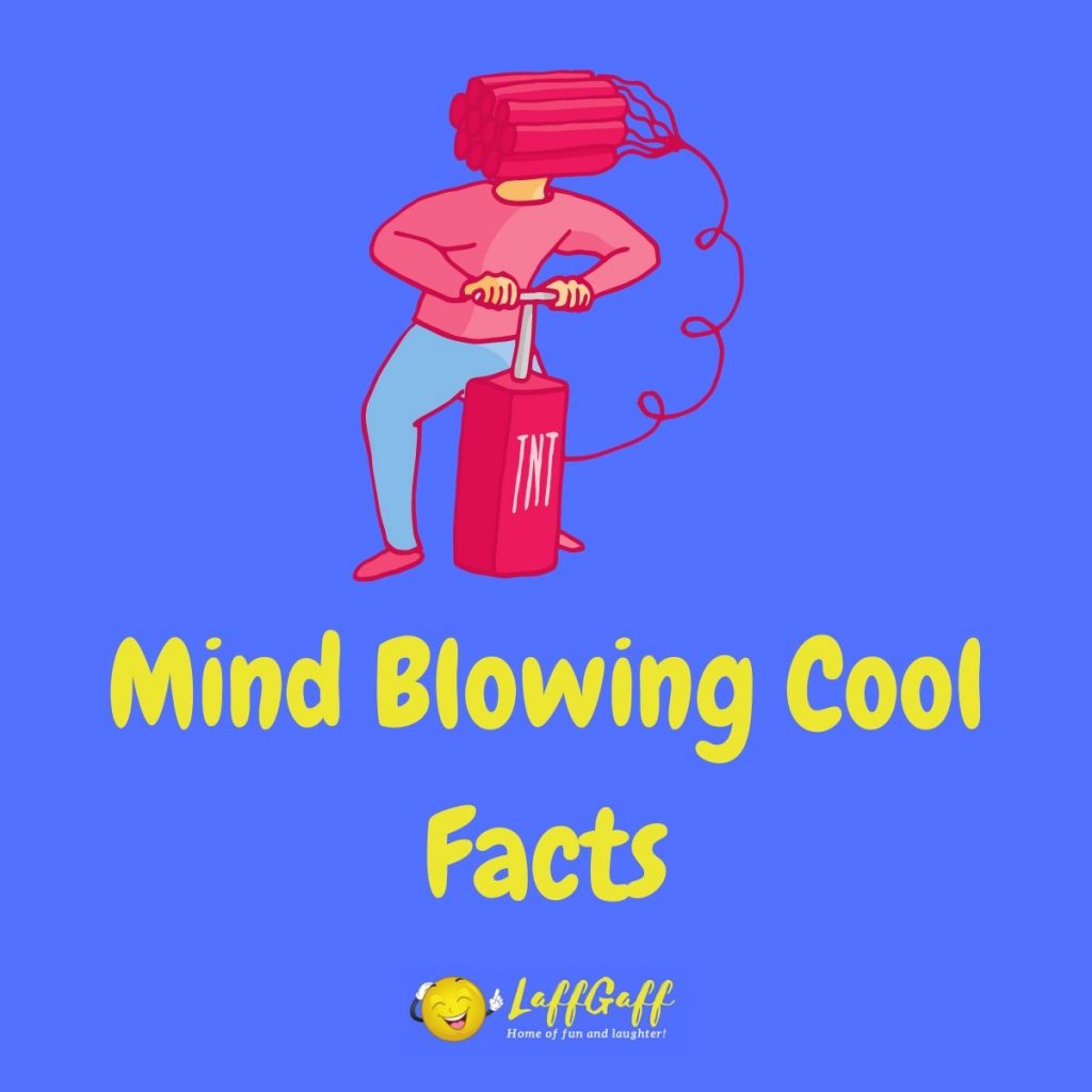 Featured image for a page of cool facts that are sure to blow your mind.