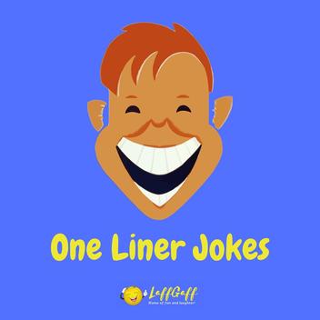 8 Funny Short Stories (Hilarious Stories) | LaffGaff, Home Of Laughter