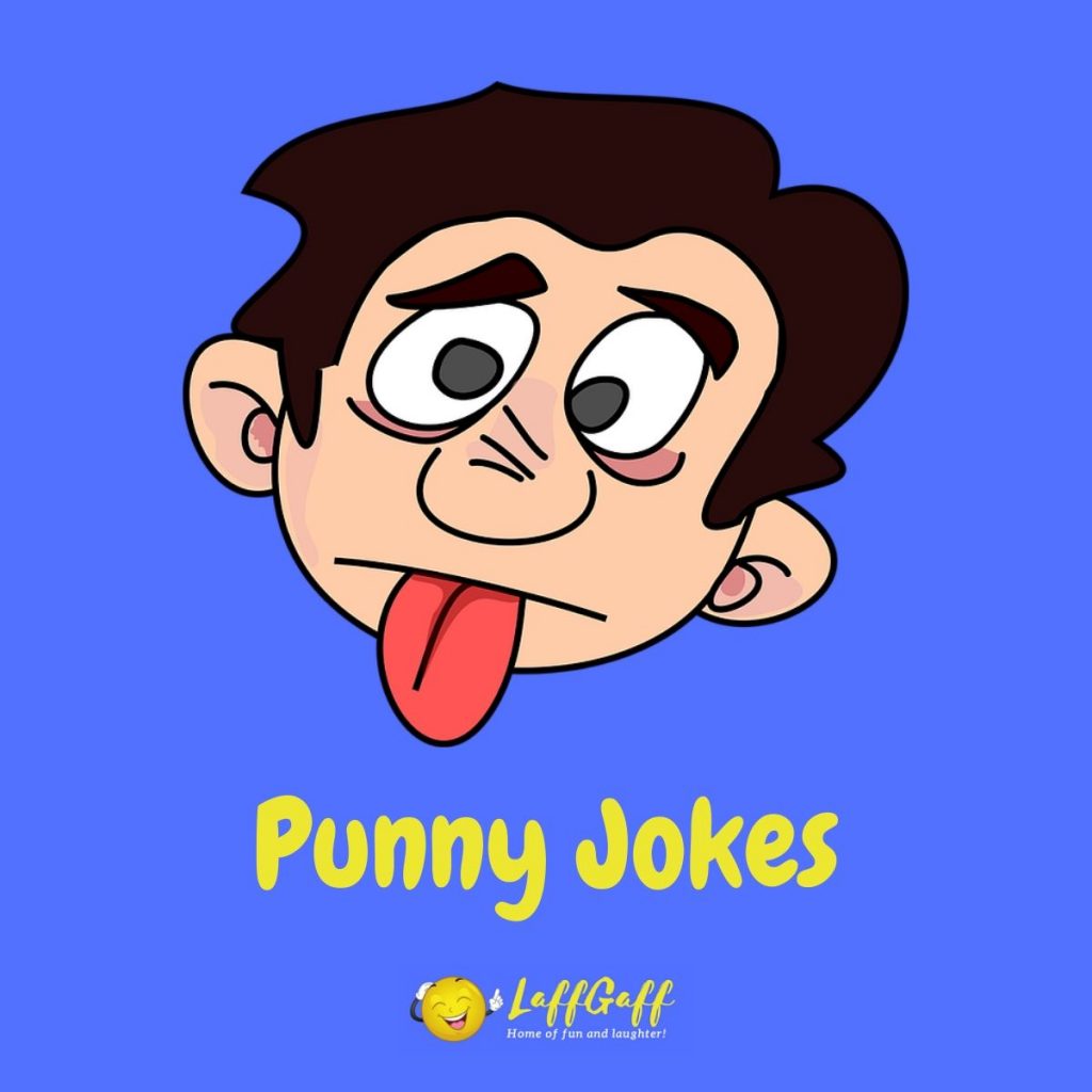Featured image for a page of really punny jokes.