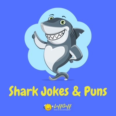 Shark Jokes And Puns