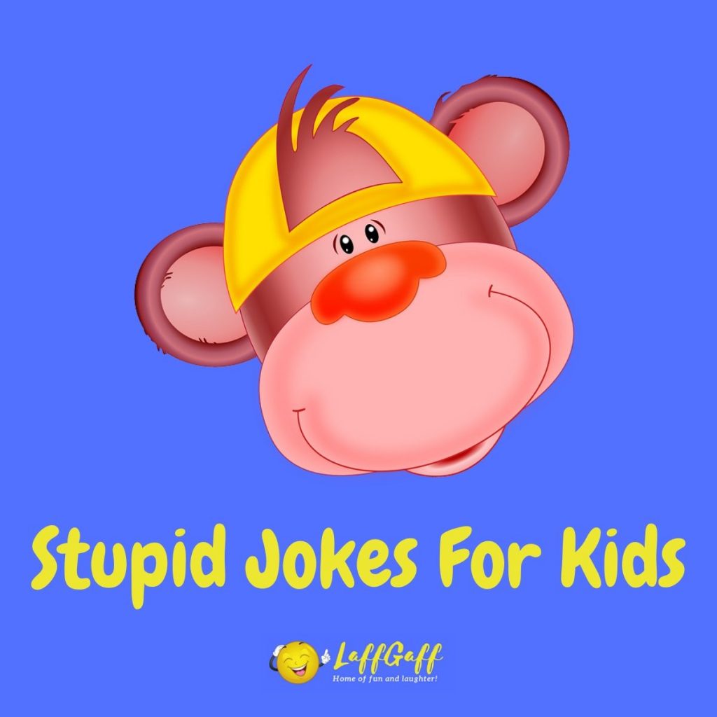 Featured image for a page of stupid jokes for kids.