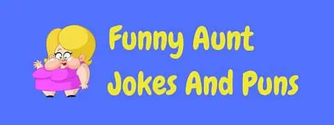 Header image for a page of funny aunt jokes and puns.