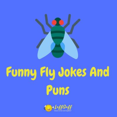 Fly Jokes