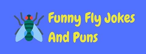 Header image for a page of funny fly jokes and puns.