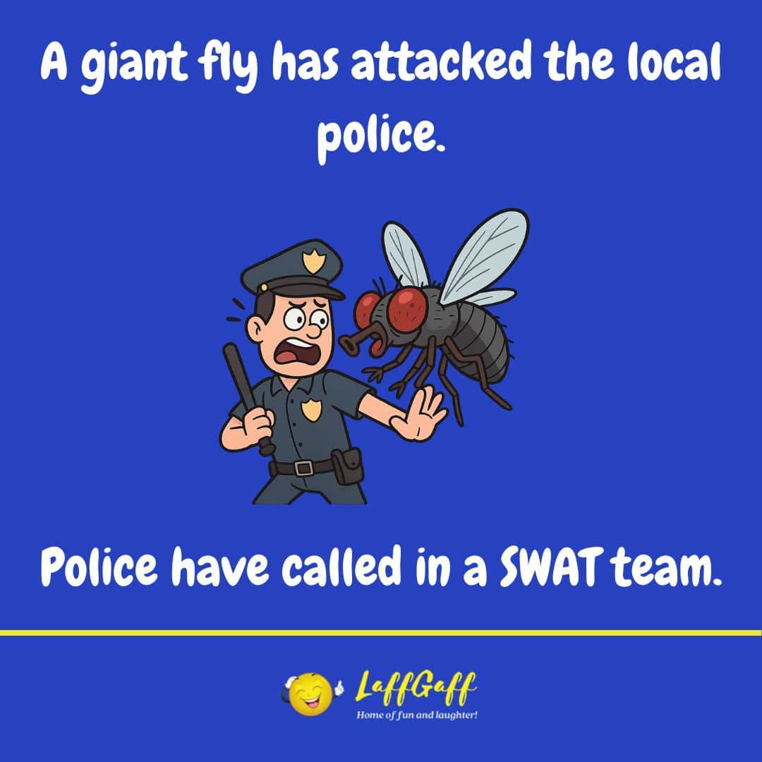 Giant fly joke from LaffGaff.