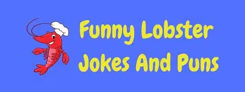 40 Funny Duck Jokes Puns To Quack You Up Laffgaff Home Of Fun And Laughter 40 Funny Duck Jokes Puns To Quack You Up Laffgaff Home Of Fun And Laughter