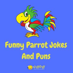 40 Funny Bird Jokes & Puns | LaffGaff, Home Of Laughter