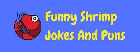 Header image for a page of funny shrimp jokes and puns.