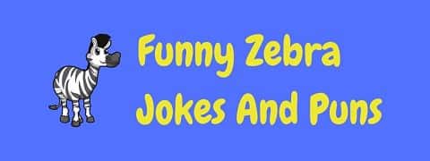 Header image for page of funny zebra jokes and puns.