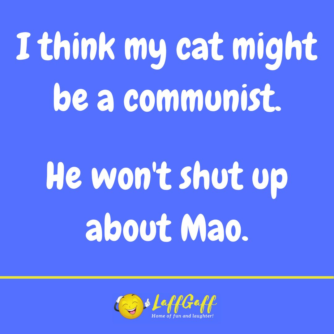 Communist cat joke from LaffGaff.