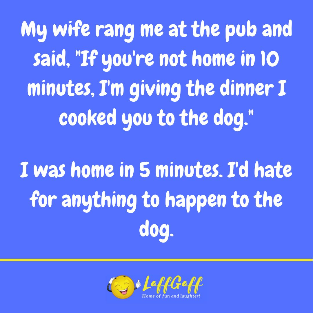 Dog's dinner joke from LaffGaff.