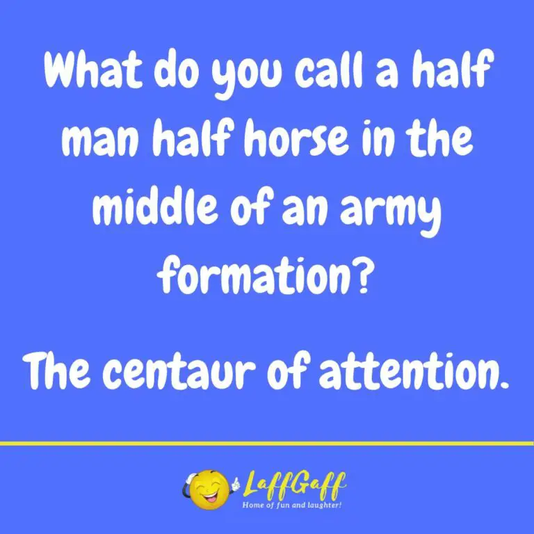 Funny Half Man Half Horse Joke! | LaffGaff, Home Of Laughter