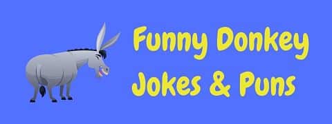 Header image for a page of funny donkey jokes and puns.