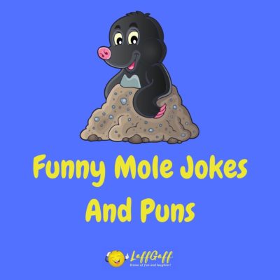 Mole Jokes And Puns