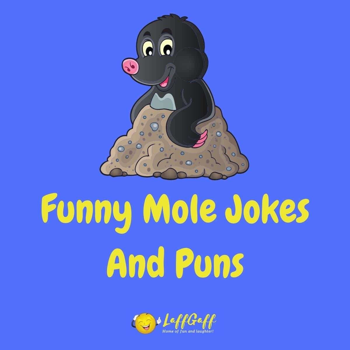 Featured image for a page of funny mole jokes and puns.