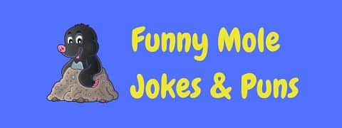 Header image for a page of funny mole jokes and puns.