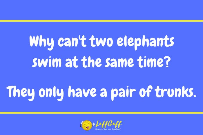 Swimming elephants joke from LaffGaff.