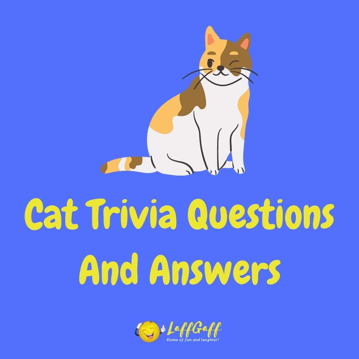 Featured image for a page of cat trivia questions and answers.