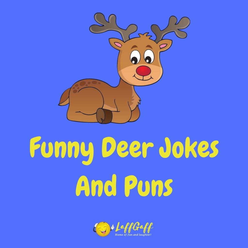 Featured image for a page of funny deer jokes and puns.