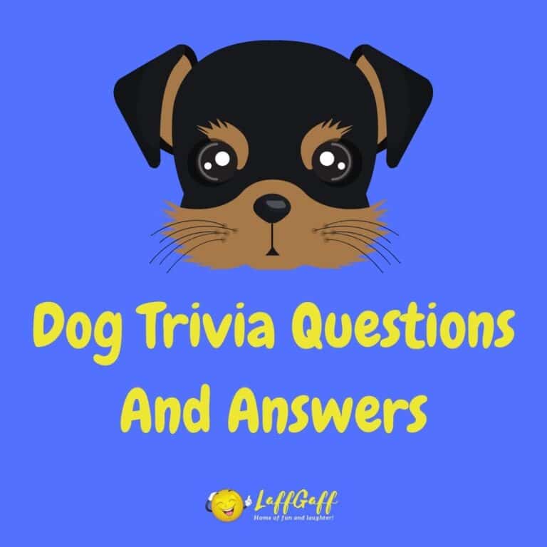 1,000s Of Free Trivia Questions And Answers! | LaffGaff